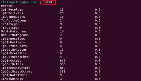 nstat porn|Collection